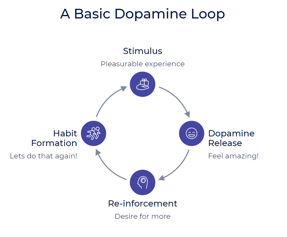 Men and the Chase: How Dopamine, Power Struggles, and Romance Shape Relationships