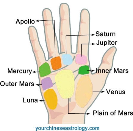 palmistry mounts