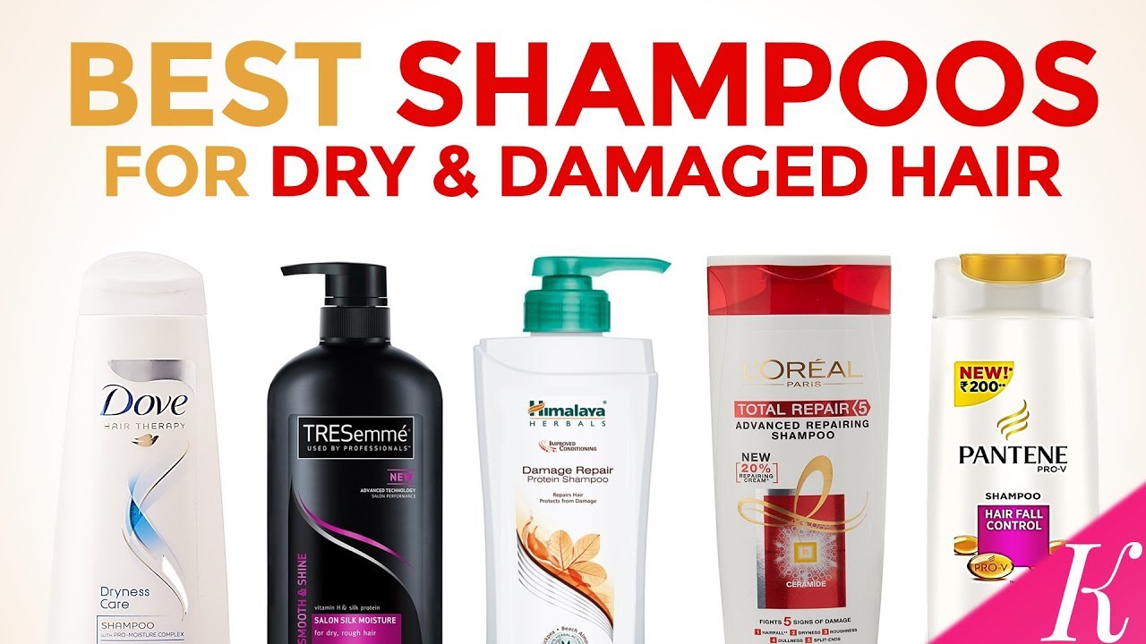 Discover the 10 Best Shampoos for Damaged, Dry, and Frizzy Hair