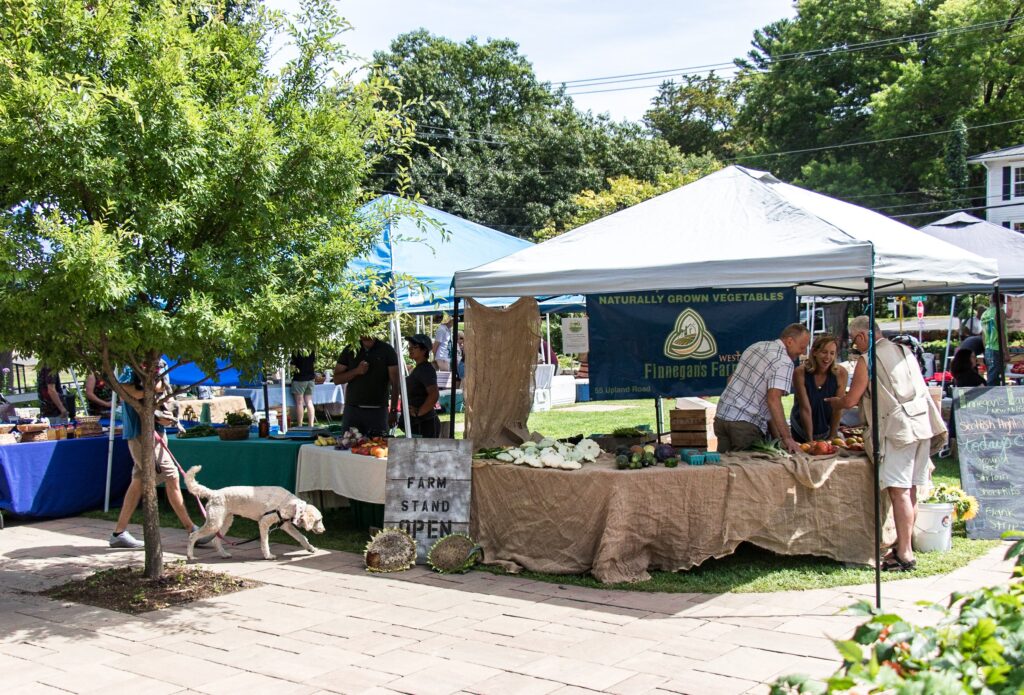 Discover Washington Depot CT Farmers Market: Fresh, Local, and Family-Friendly