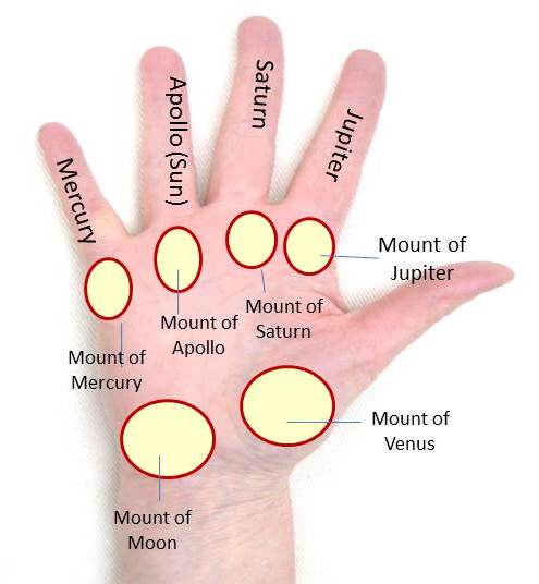 palmistry mounts