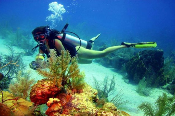 Ultimate Guide to Diving and Snorkeling at Catalina Island, Costa Rica