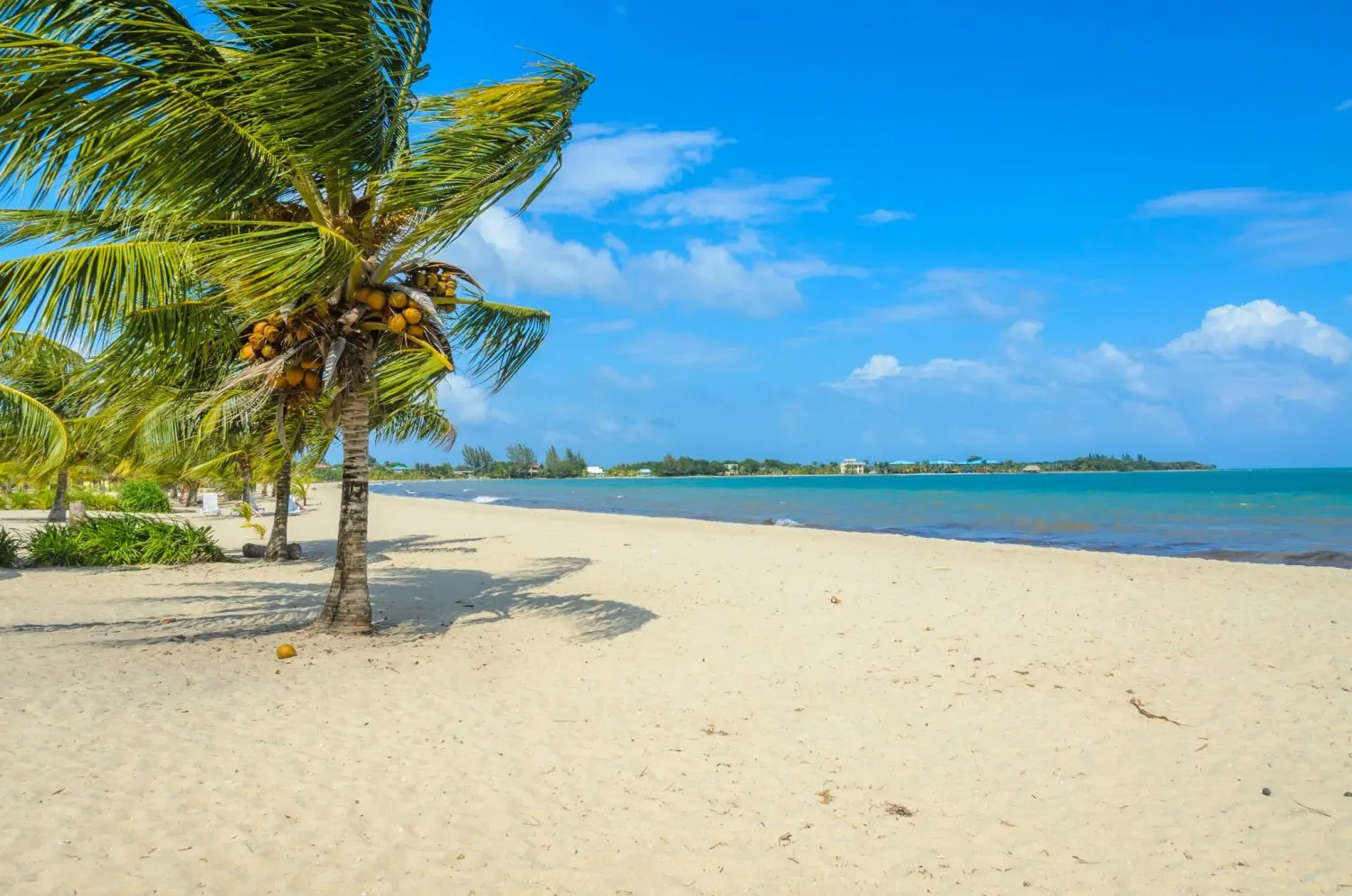 How to Get to Placencia, Belize: Top Travel Options