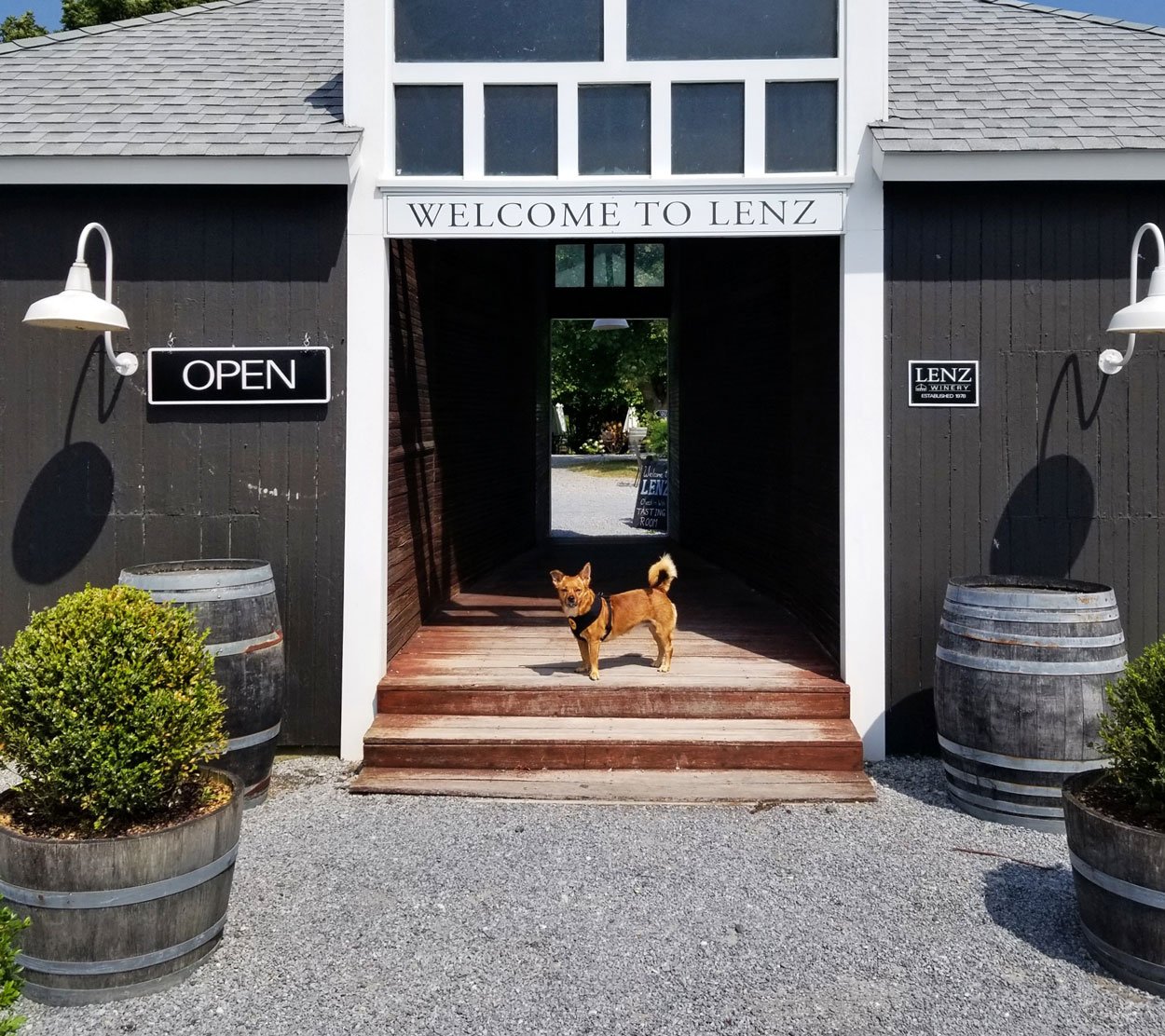 North Fork Hotels Pet Friendly: Your Furry Friends are Welcome!