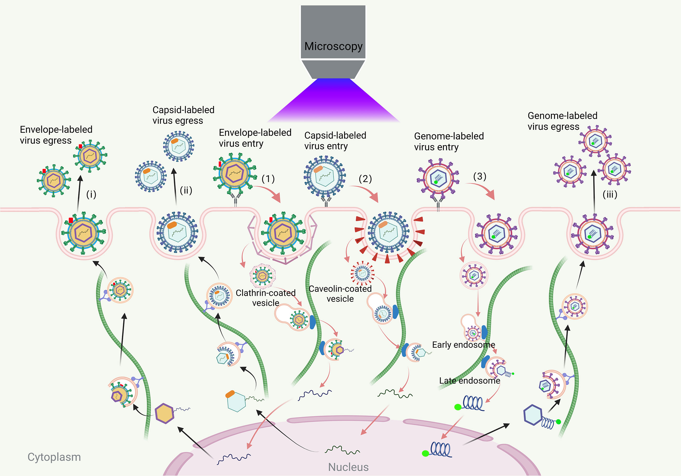 83 70 Explained: Your Simple Guide to the Viral Number