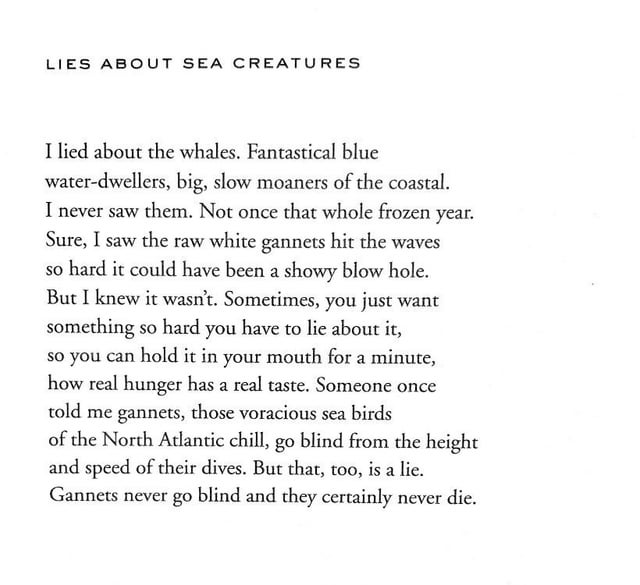 Ada Limon Open Water: Poems that explore nature and the human condition