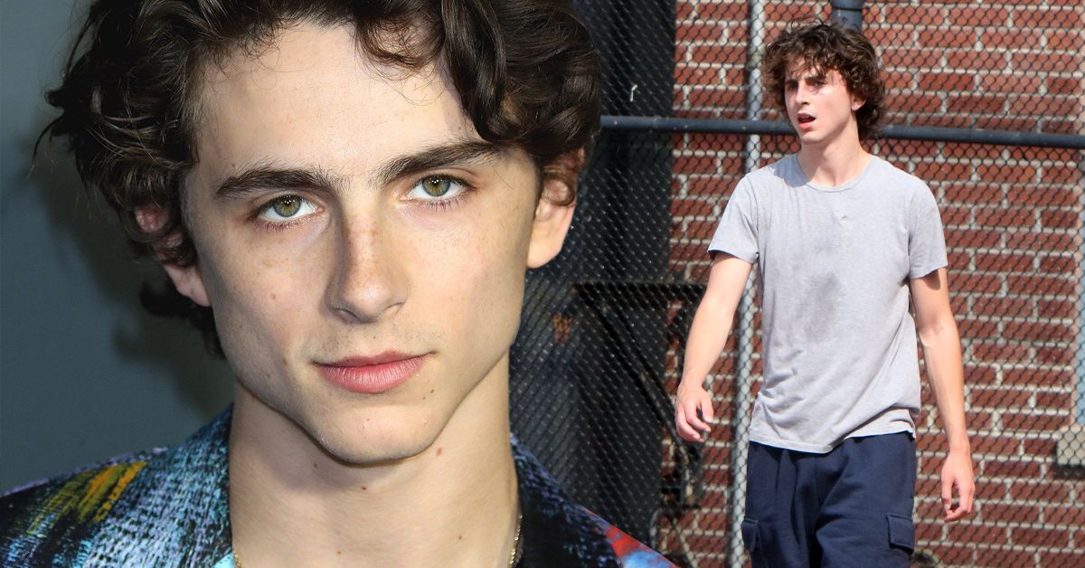 Why Is Timothee Chalamet So Skinny? The Truth About His Body