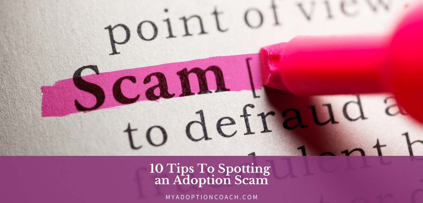 Adoption Scammer Alert: How to Spot and Avoid Scams