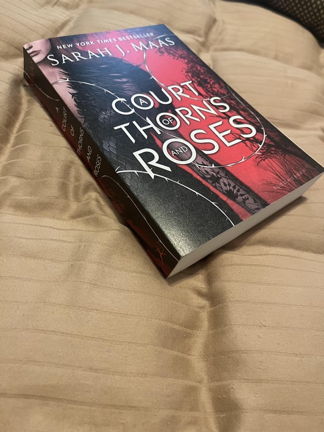 A Court of Thorns and Roses Used:  What to Check Before You Buy