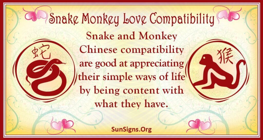 Snake Man Monkey Woman Compatibility: Is This a Recipe for Love or Disaster? Get the Answers!