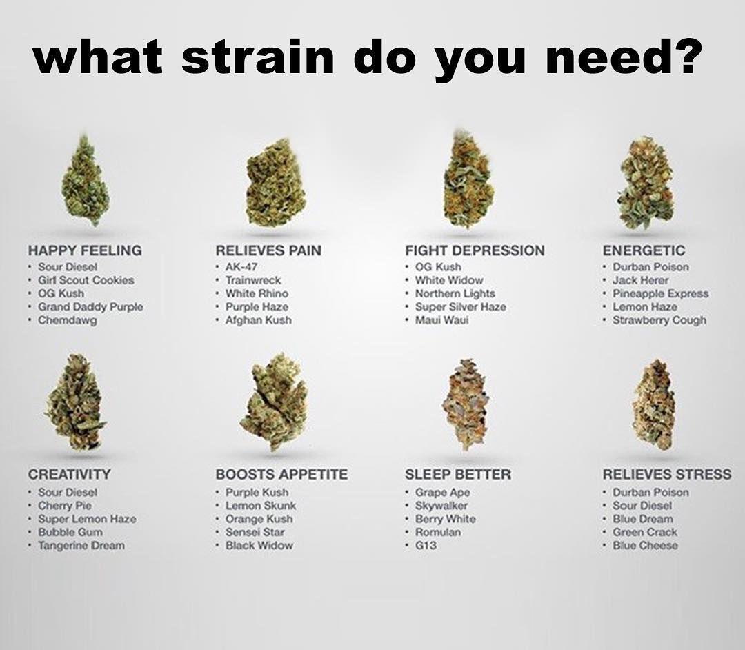 All My Friends Strain: How Does It Compare? (We Put It Up Against Similar Strains)